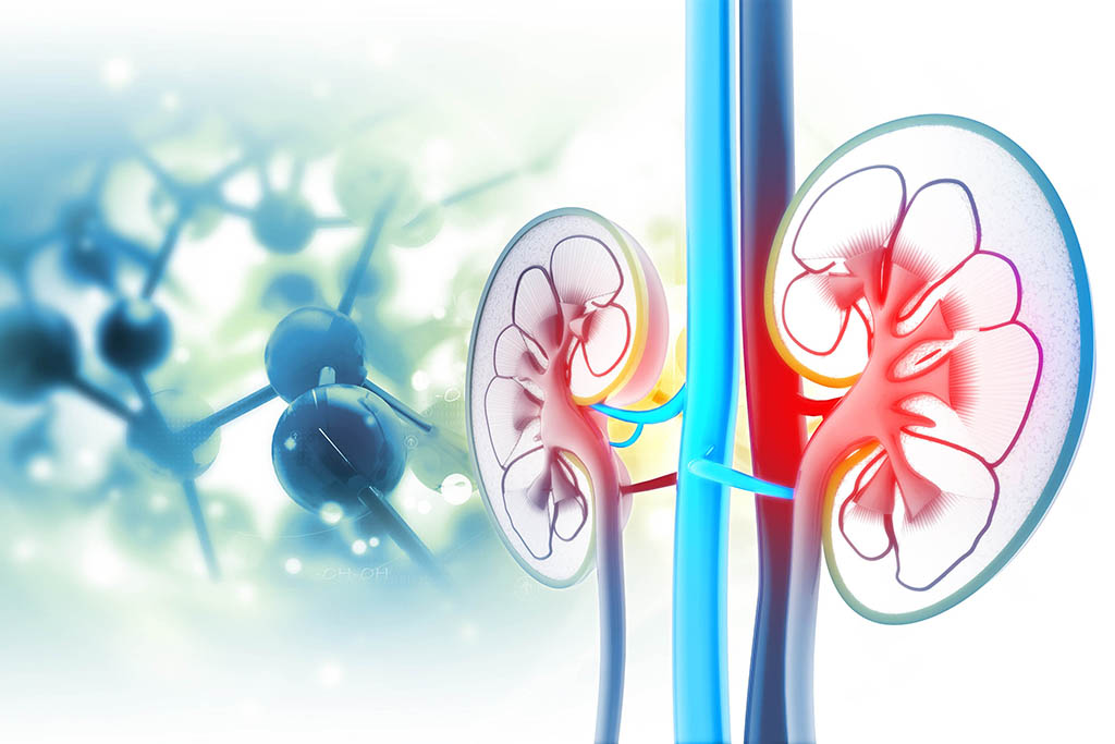 Hereditary kidney diseases in children and adults (MARHEA) Maladies