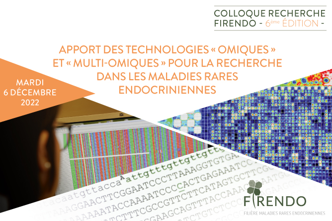 Bannière colloque recherche FIRENDO 2022