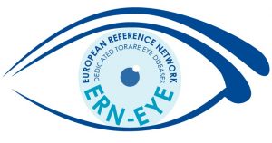 Logo ERN Eye