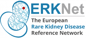 Logo-ERKNet
