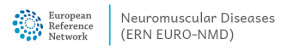 Logo Euro-NMD