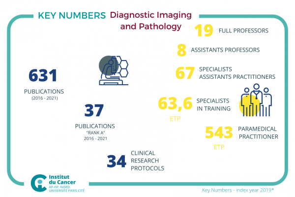 P12Diagnostic Imaging & pathology