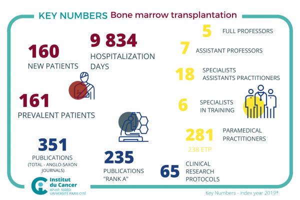 P28 Bone marrow transplantation chiffres clés
